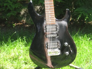 Washburn guitar Lyon Electric