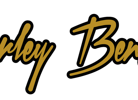Harley Benton Logo